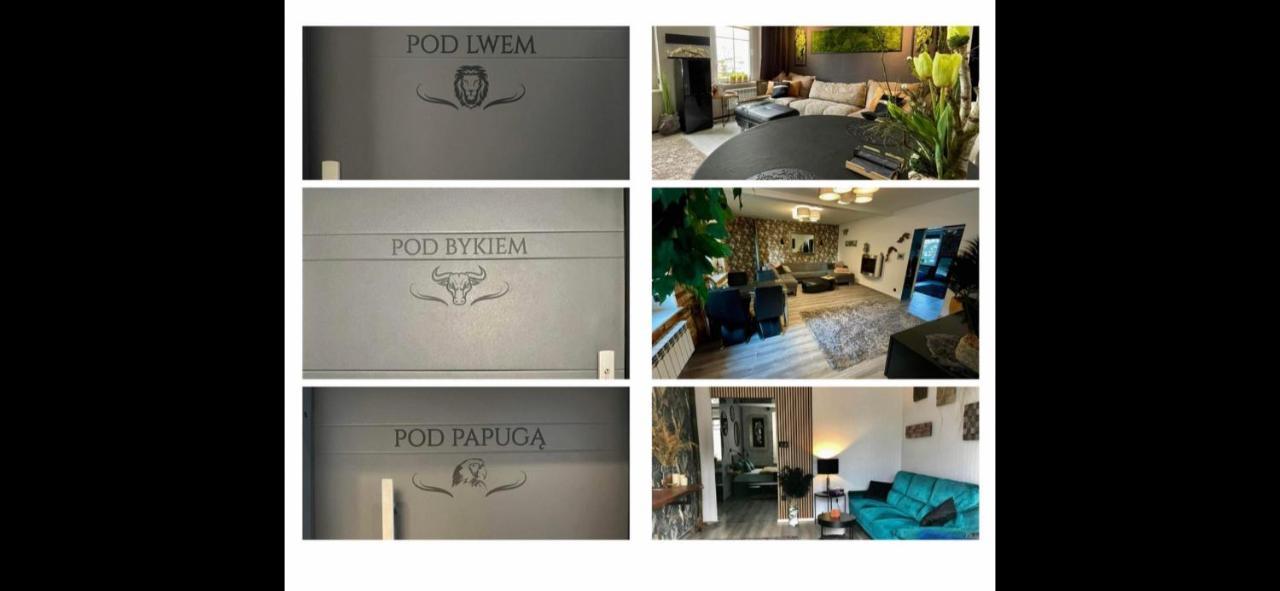 Pod Lwem Apartment คอชเชียซือนา ภายนอก รูปภาพ